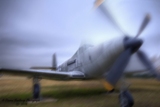P63_KingCobra4.jpg
