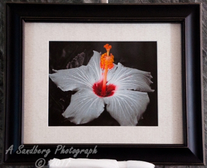 Loaded Pistil II