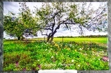 c_EmbracingLimbs
