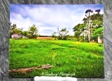 c_WindmillMeadow