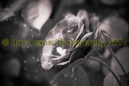 13bwlg