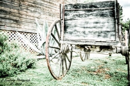 wagon1c