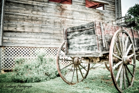 wagon2b