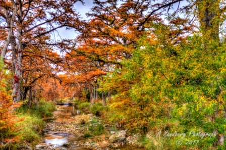04lostmaples