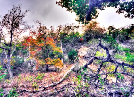 09lostmaples