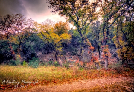 16lostmaples