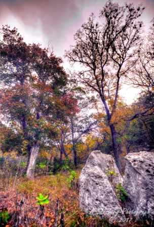 34lostmaples