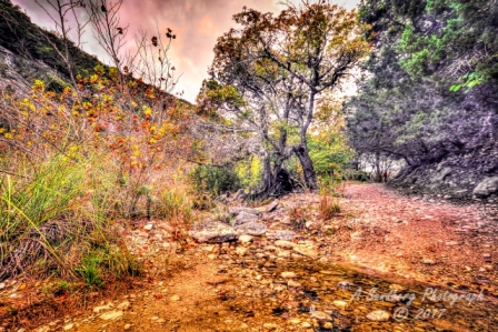 35lostmaples