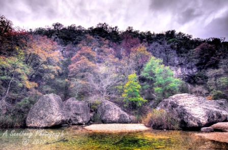 43lostmaples