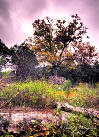 46lostmaples