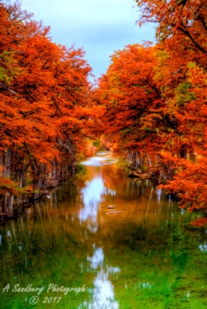51lostmaples