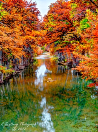 52lostmaples