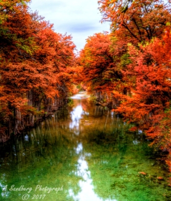 53lostmaples