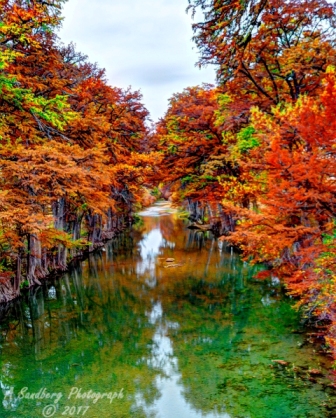 54lostmaples