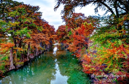 55lostmaples