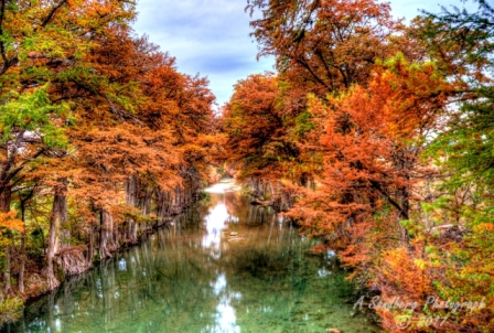 56lostmaples
