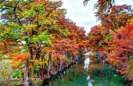 57lostmaples