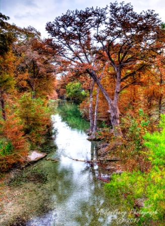 58lostmaples