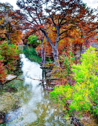 60lostmaples