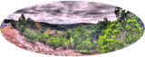 64lostmaples.png