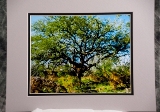 m_matted-14.jpg