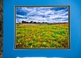 m_matted-15.jpg