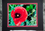 m_matted-16.jpg