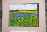 m_matted-20.jpg