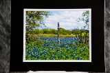 m_matted-26.jpg