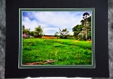 m_matted-28.jpg