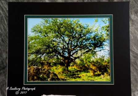 matted-36.jpg