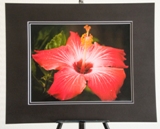 matted-1105.jpg