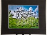 matted-1112.jpg