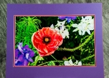 matted-25.jpg