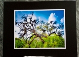 matted-26.jpg
