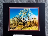 matted-28.jpg
