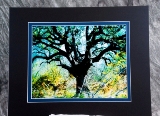 matted-29.jpg