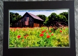 matted-35.jpg