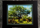 matted-36.jpg