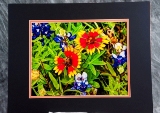 matted-37.jpg