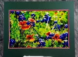 matted-38.jpg