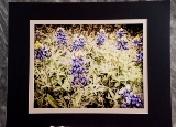 matted-42.jpg