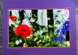 matted-44.jpg