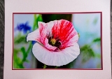 matted-46.jpg