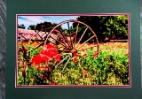matted-48.jpg