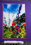 matted-54.jpg