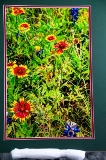 matted-55.jpg