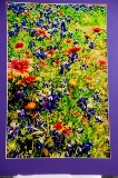 matted-57.jpg
