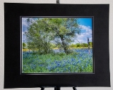matted_0002.jpg
