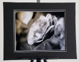 matted_0003.jpg